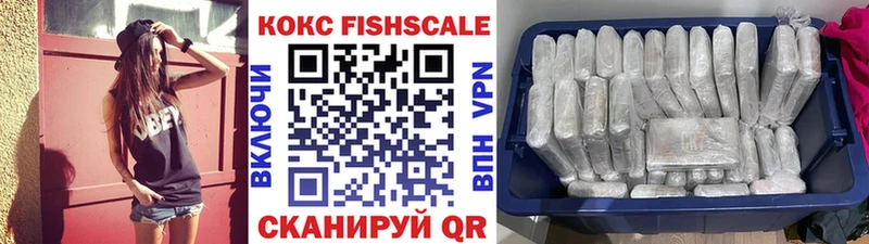 Cocaine Fish Scale Сыктывкар