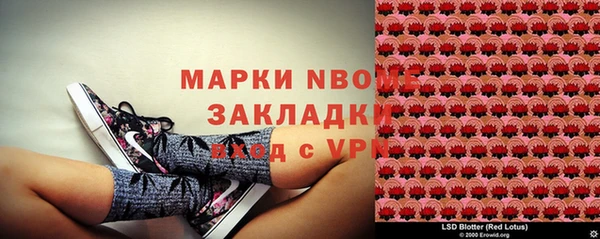 прущие грибы Алзамай