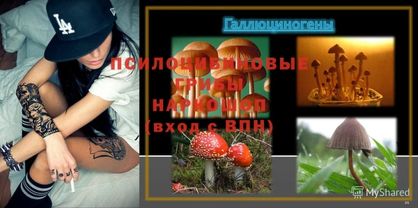 прущие грибы Алзамай