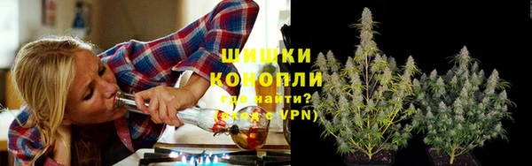 прущие грибы Алзамай