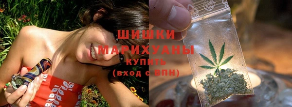 прущие грибы Алзамай